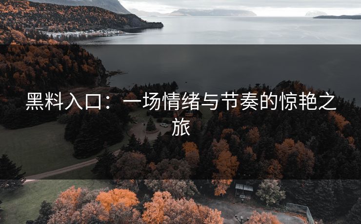 黑料入口：一场情绪与节奏的惊艳之旅