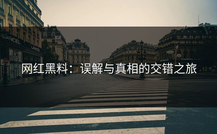 网红黑料：误解与真相的交错之旅