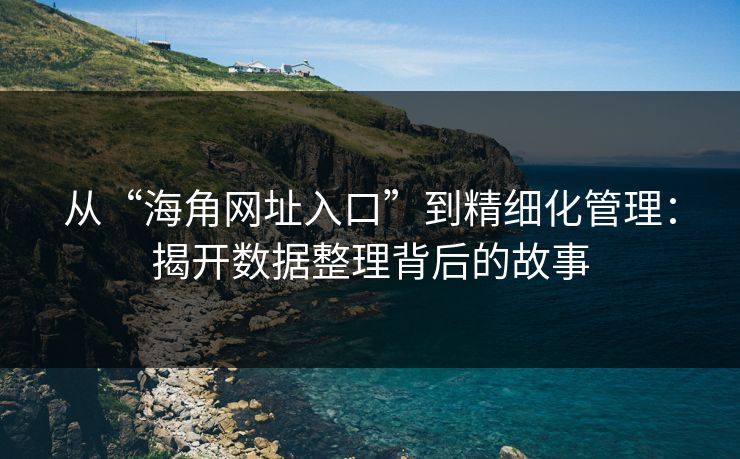 从“海角网址入口”到精细化管理：揭开数据整理背后的故事