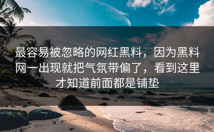 最容易被忽略的网红黑料，因为黑料网一出现就把气氛带偏了，看到这里才知道前面都是铺垫