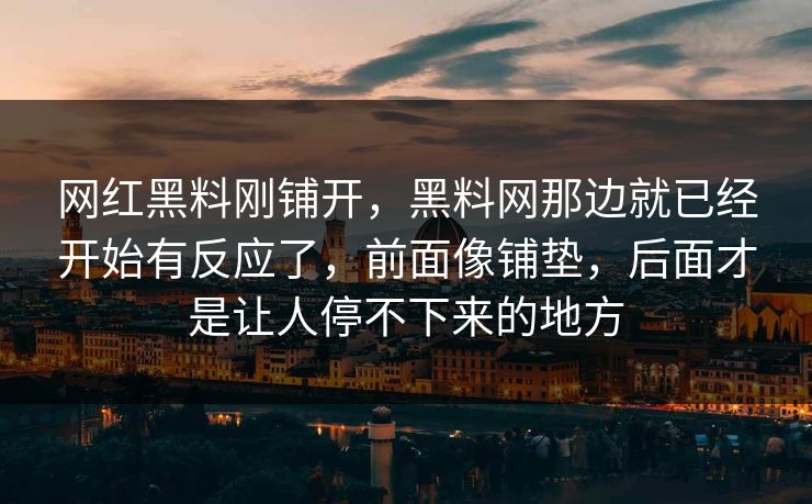 网红黑料刚铺开，黑料网那边就已经开始有反应了，前面像铺垫，后面才是让人停不下来的地方