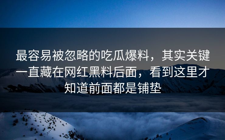 最容易被忽略的吃瓜爆料，其实关键一直藏在网红黑料后面，看到这里才知道前面都是铺垫