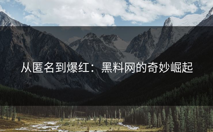 从匿名到爆红：黑料网的奇妙崛起
