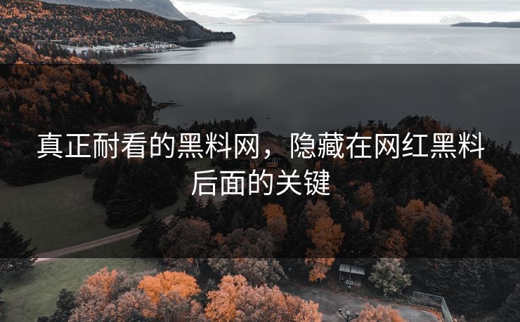 真正耐看的黑料网，隐藏在网红黑料后面的关键