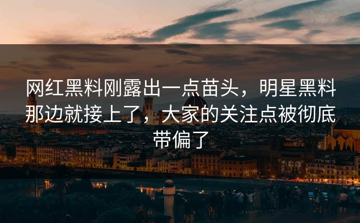 网红黑料刚露出一点苗头，明星黑料那边就接上了，大家的关注点被彻底带偏了