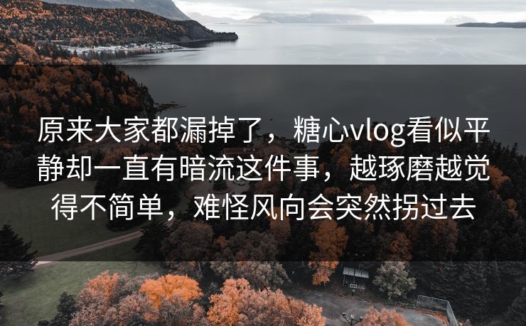 原来大家都漏掉了，糖心vlog看似平静却一直有暗流这件事，越琢磨越觉得不简单，难怪风向会突然拐过去